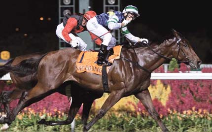 2019年马会正版资料，重塑香港赛马的透明与公正2019年马会正版幽默