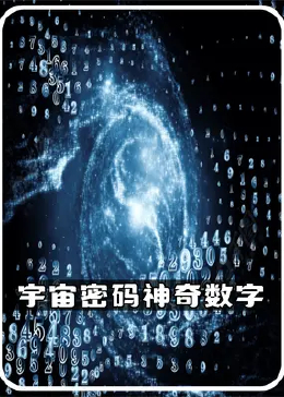 探索数字背后的奥秘，揭秘www.2935016874的神秘之旅