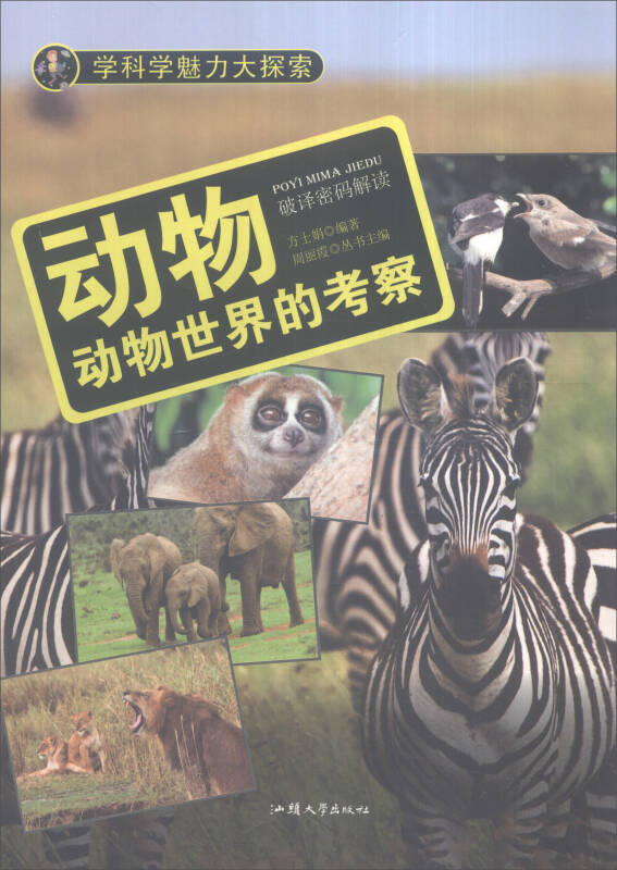 探秘四不像澳门，东西交融的独特魅力四不像澳门彩开奖结果