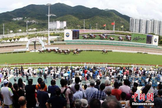 探索香港马会正版料大全2019，赛马的智慧与乐趣香港正版马会资料免费大全