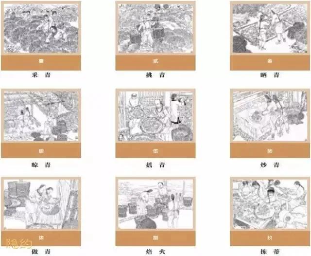 探索天牛3D图与红五图的奥秘，深度汇总与分析天牛3d图红五图库汇总试机号陈华