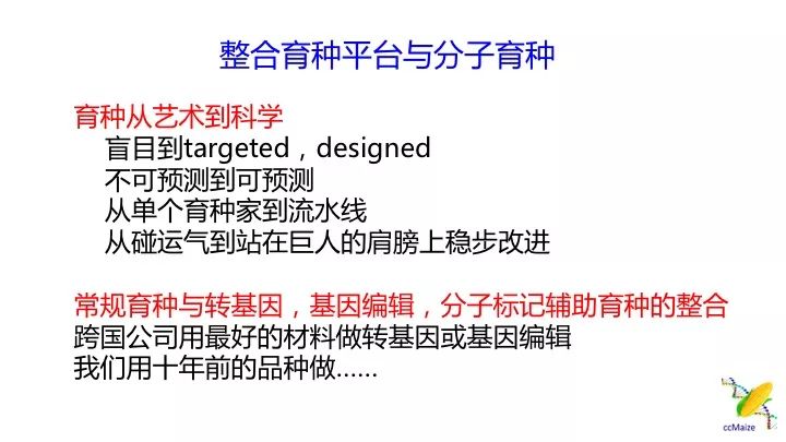 揭秘与警示