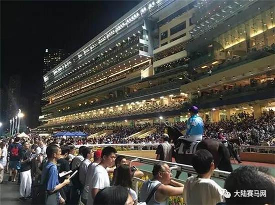 探索香港马会免费资料大全，解锁赛马的奥秘与文化