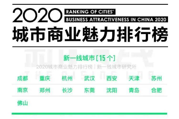 合肥新澳开奖结果资料查询，揭秘城市与彩票的奇妙结合新澳开奖结果资料查询合肥澳门码天天开彩