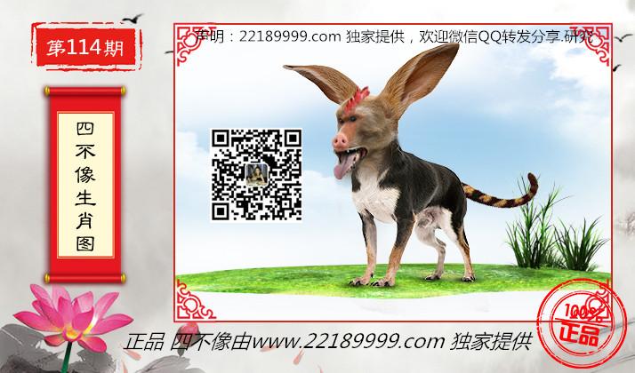 2018年四不像特肖图，传统与现代交织的独特魅力四不像特肖图201862期