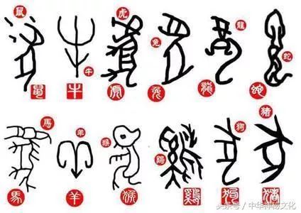 2019年特马生肖图，传统与现代交融的幸运符号二0一九年特马生肖图