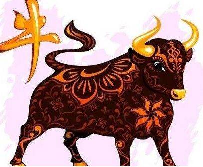 今晚四不像生肖图，探寻神秘与趣味的完美结合今晚四不像生肖图今期点评