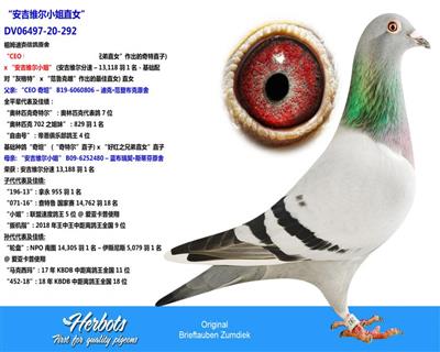 探索WWW493267C0m，网络时代的隐秘角落