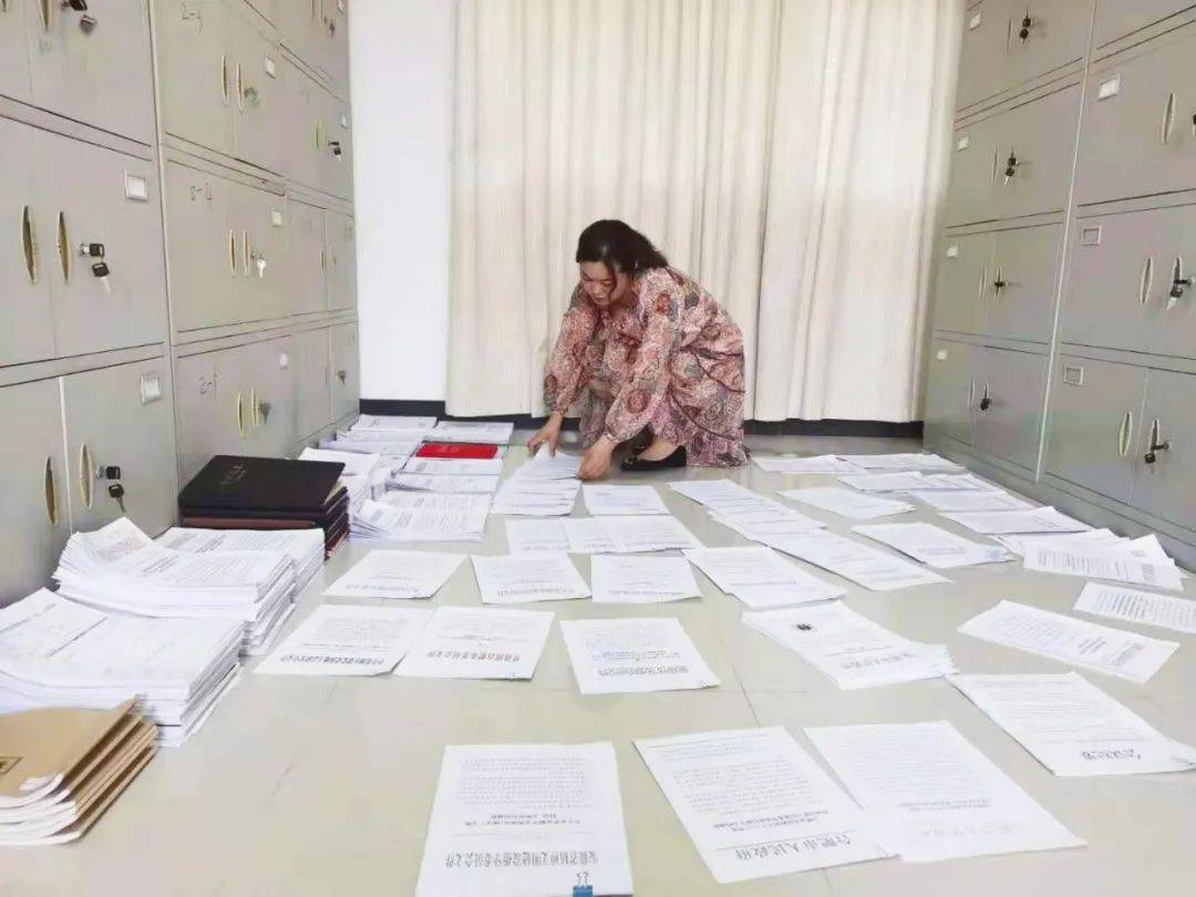 澳门资料大全2035，正版免费下载的全面指南2025澳门今晚开奖号码下载