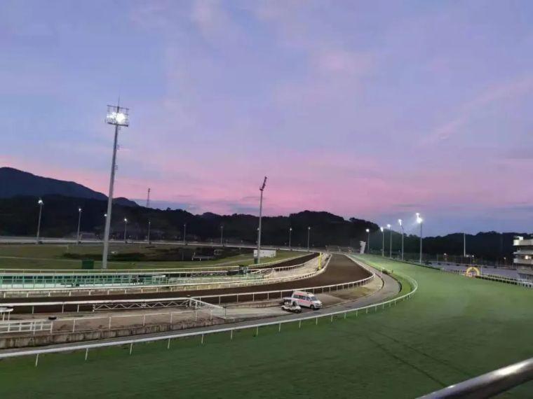 2019香港马会资料大全，免费资源与精彩赛事的全面指南香港2021年马会资料大全