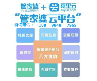 管家婆三期开一期精准，揭秘背后的逻辑与策略管家婆三期开一期精准是什么人用的