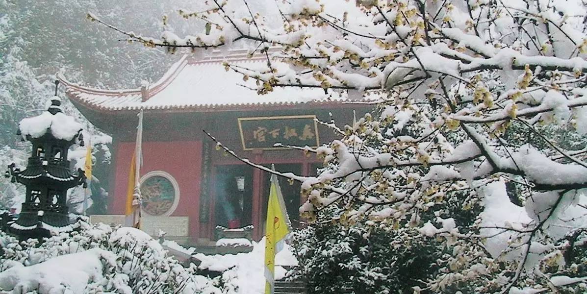 探索黄大仙精准资料，免费大全的奥秘与价值黄大仙精准资料免费大全最新