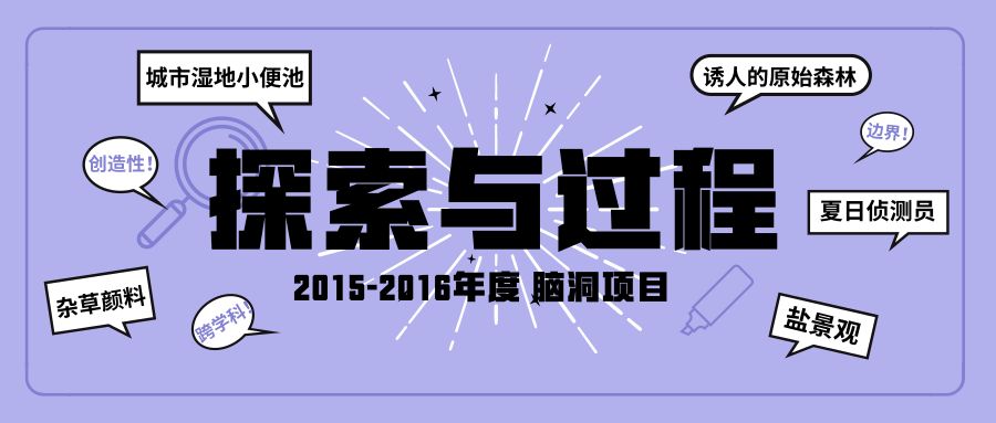 2 最新开奖结果