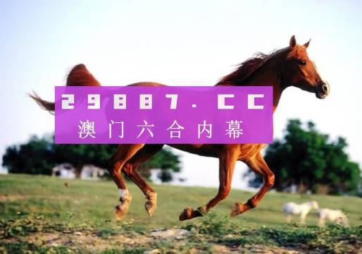 澳门一码，揭秘数字背后的文化与神秘最准一肖一码一孑一特一中