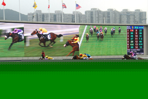 今日特马揭秘，香港彩市风云再起香港今天开的什么马