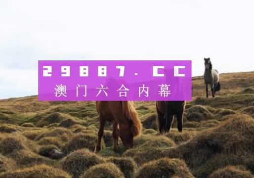 澳门开奖新篇章，203年回顾与展望新老澳门开奖结果2023开奖记录查询