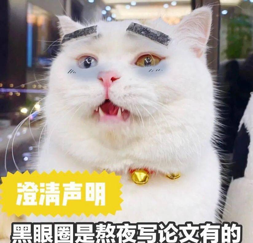 澳门彩资料查询