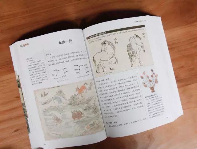 精准观彩，揭秘最准确的马报彩色图解最准确的马报彩图神马