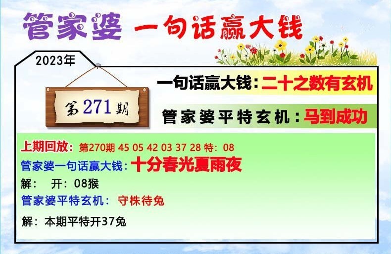 4876管家婆，揭秘开奖结果背后的故事4887管家婆结果开奖结果小说东方心经