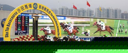 今期马会传真，揭秘香港赛马的魅力与影响今期马会传真内部封信