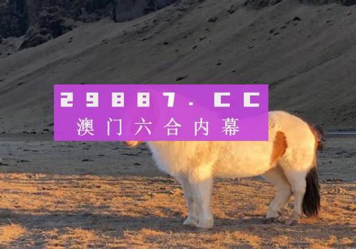 澳门六开奖，2035年未来展望与历史记录查询49图库