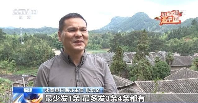 免费资料网站