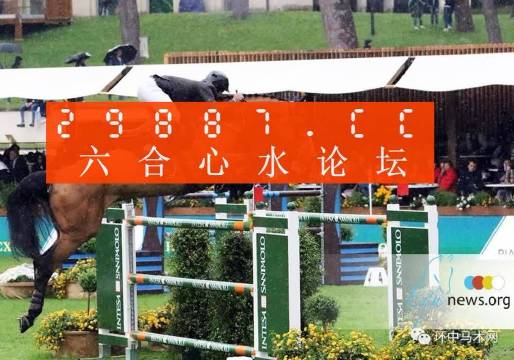 澳门12369，六下彩的背后与养母之爱