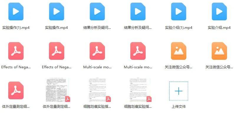 2018年免费全年资料，正版与共享的智慧平衡2018正版免费全年资料大全