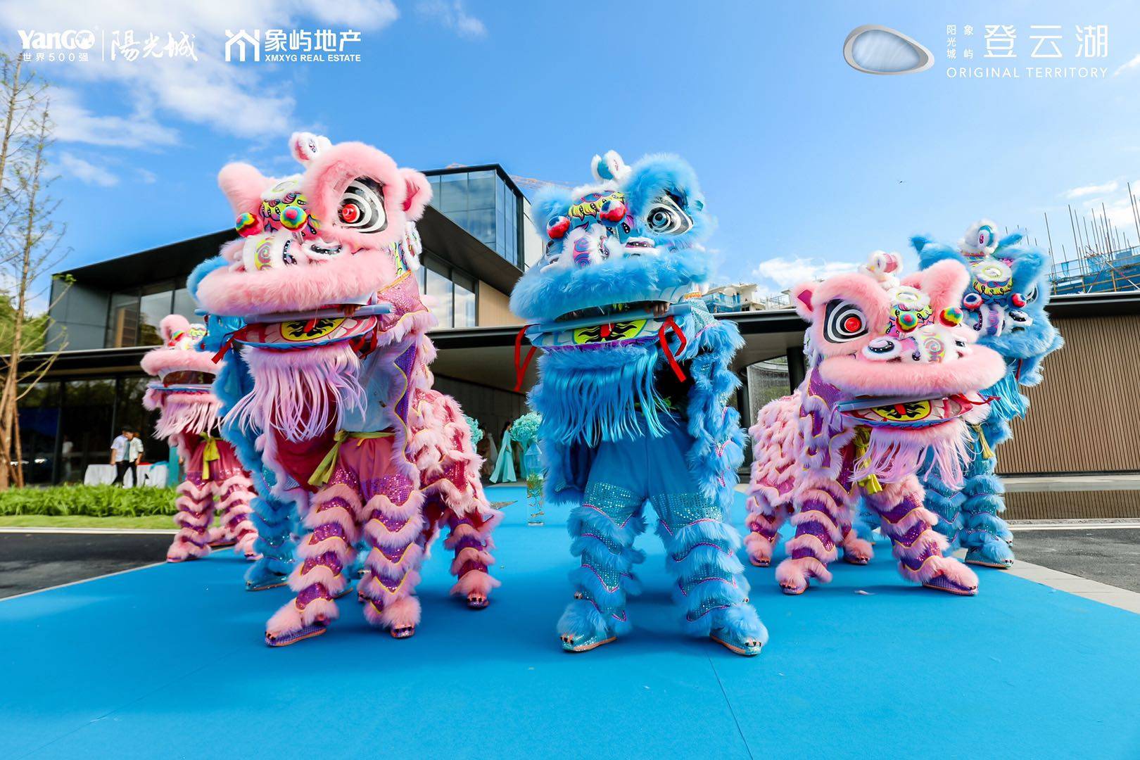 探索新澳门的魅力，揭开是什么彩的神秘面纱新澳门期期准