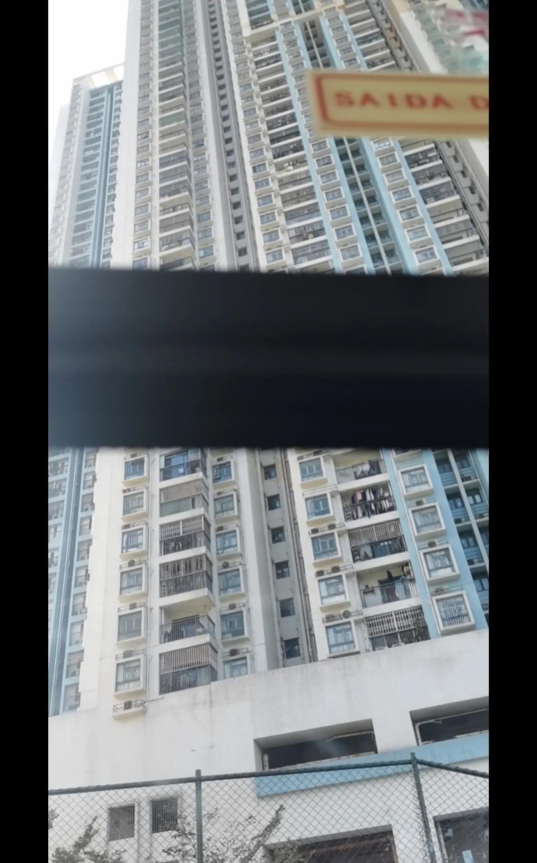 澳门新历史篇章，2035年回望—探索澳门的蜕变与辉煌新澳门历史记录查询2023年最新版本