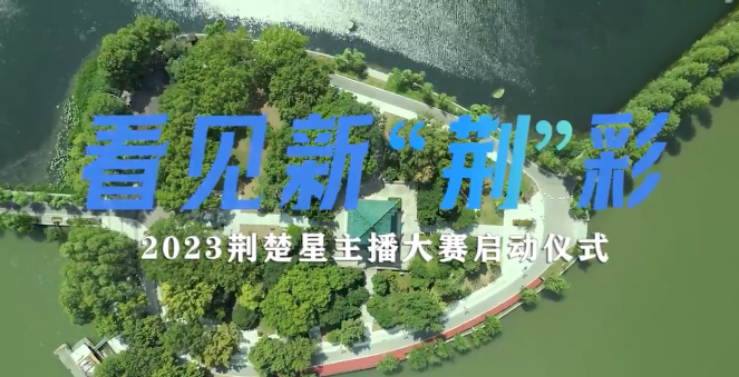 澳门新彩，今晚开奖结果与45号未开的历史回顾新澳门开奖结果2020+开奖记录_